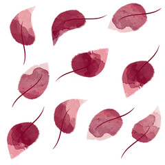 Watercolor hand painted botanical flowers. Aquarelle wild flower for background, texture, wrapper pattern, frame, border or mockup. Artistic botanical illustration