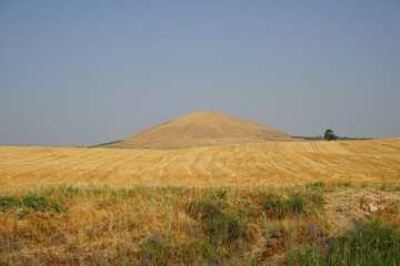 Obraz premium timulus on the field