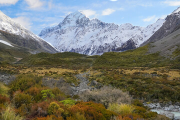 Mountain view over colorful heather valley Aoraki Mount Cook South Island New Zealand