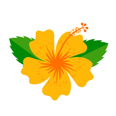 yellow hibiscus flower flat vector illustration clipart isolated on white background