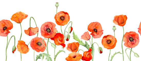 Watercolor bouquet composition, elements with hand drawn summer bright red poppy flowers. Isolated on white background. Design for invitations, wedding, love or greeting cards, paper, print, textile - obrazy, fototapety, plakaty