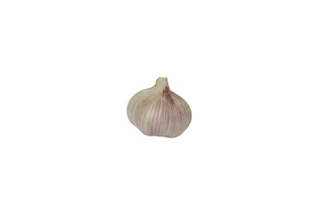 garlic 1, isolated on white background