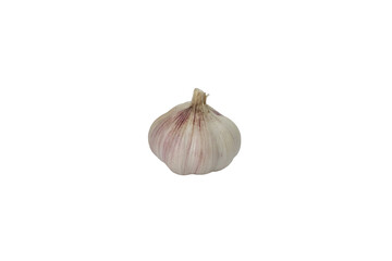 garlic 4, isolated on white background