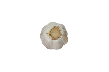 garlic 5, isolated on white background