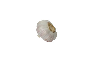 garlic 6, isolated on white background