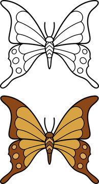 Hand drawn butterflies. Set of two butterflies,linear and colored.Vector illustration doodle style. Coloring.
