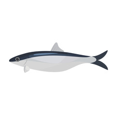 Vector illustration of herring on a white background.