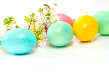 Easter eggs and flower branch on white background