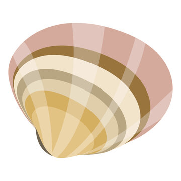 ハマグリのフラットなベクターイラスト
Asiatic hard clam. Flat designed vector illustration.