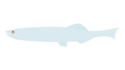 シラスのフラットなベクターイラスト
White bait. Flat designed vector illustration.