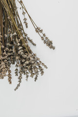 bunch of dried lavender