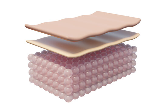 Molecules skin layer concept, Reduce up saggy and wrinkled, Collagen and vitamin, Beauty skin cell, Cosmetic solution, Moisturizer and Serum for Freckle advertising, 3d rendering illustration, png 3d