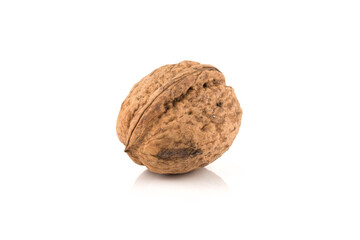 Walnut nut on white