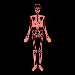 Neon skeleton human red color vector illustration image flat style