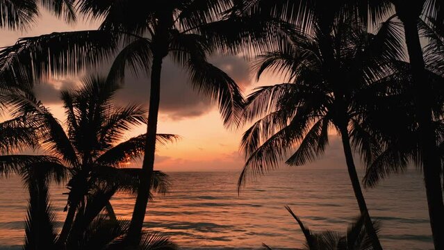 Cinematic red sunset at ocean coast with palm leaves silhouette in front. Drone aerial view beautiful scenery tropical nature golden sunset or sunrise at sea with palms silhouette. tropical paradise. 