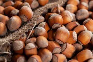 Hazelnuts, filbert on old wooden table. heap or stack of hazel nuts. Hazelnut background, healty food