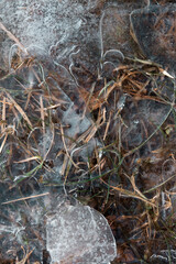 Tire tracks in the ice