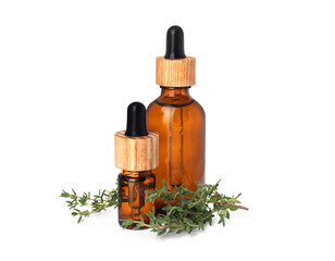 Bottles of thyme essential oil and fresh plant isolated on white - obrazy, fototapety, plakaty