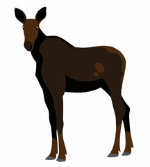 moose cartoon vector illustration isolated on white