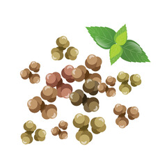 black pepper isolated
