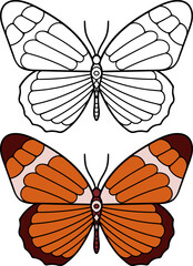 Hand drawn butterflies. Set of two butterflies,linear and colored.Vector illustration doodle style. Coloring.
