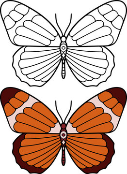 Hand drawn butterflies. Set of two butterflies,linear and colored.Vector illustration doodle style. Coloring.
