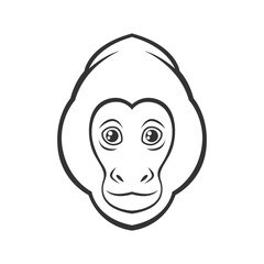 black and white capuchin monkey vector illustration