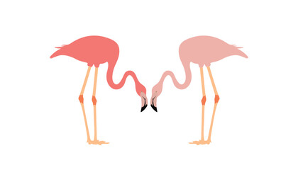 Vector illustration of two cute flamingos on white background. It an be used for sticker, poster, card, bag, t-shirt design, birthday cards and summer.
