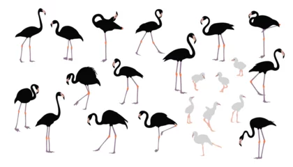 Fototapete Flamingo Flamingo silhouette set Isolated vector Elegant flamingo family