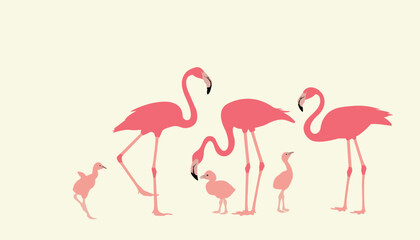 Pink flamingo. Wildlife exotic birds tropical flamingo decent vector realistic poses pictures templates isolated. set of flamingo birds. elegant flamingo birds family.