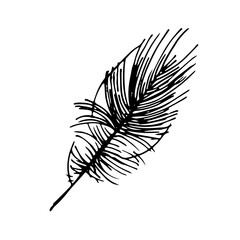 Hand drawn feathers. Vector doodle illustration. Isolated on white background
