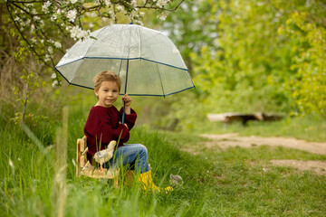 Cute child, boy, with umbrella and little chicks, sitting on a small bench in the park while raining