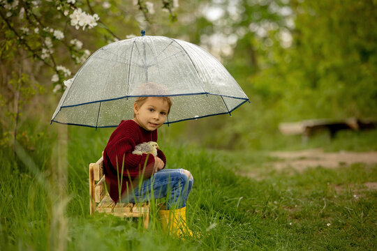Cute child, boy, with umbrella and little chicks, sitting on a small bench in the park while raining
