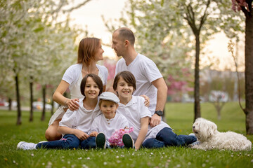 Beautiful family with kids, mom, dad, three boys and a dog, playing in park together