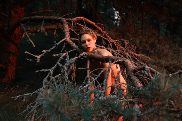 Fototapeta na wymiar Naked woman among the dried branches of old pine trees