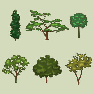 A collection of different trees