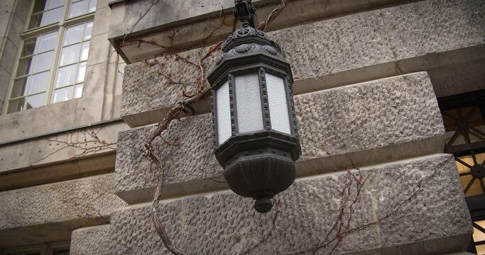 Eine alte Laterne, die an der Wand h&auml;ngt und von Weinreben umh&uuml;llt ist.	