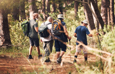 Hiking, trekking and group of friends in forest for adventure, freedom and cardio wellness on mountain trail. Travel, sports and back of senior hikers for exercise, fitness and walking in retirement