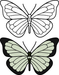 Hand drawn butterflies. Set of two butterflies,linear and colored.Vector illustration doodle style. Coloring.
