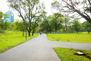 Cityscape view of Benjakitti Park with trees and skywalk, New beautiful garden in the city center.