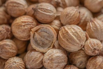 coriander seeds closeup