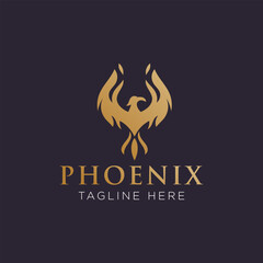 Phoenix logo design template. Vector Illustration