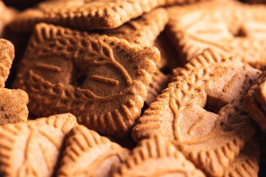 A close up of multiple brown cookies called speculoos or speculaas in Belgium or the Netherlangs. The spiced biscuit is very delicious and popular during the winter period to be eaten at any time.
