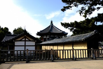 奈良、興福寺，寺院、日本古来の建築物、伝統的な建築物、木造