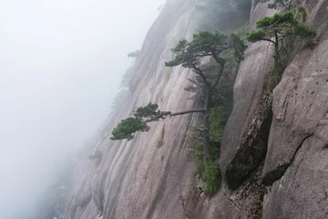 Cercles muraux Monts Huang Anhui huangshan mountain scenery