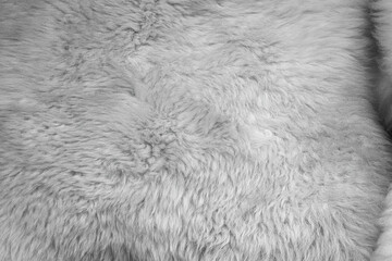 Sheep skin structure.Close up of sheep fur.