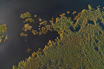 Sunrise over Comana Natural Park. Aerial view of this beautiful natural park with lakes birds and...