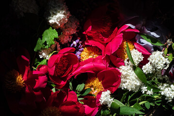 floral composition on the dark background