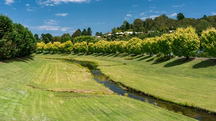 Keuken spatwand met foto Beautiful green landscapes along Apsley river in Walcha, NSW, Australia © Alexander