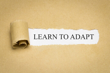 Learn to adapt